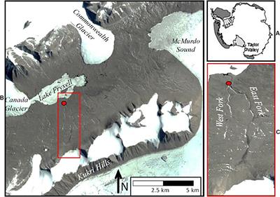 Silicon Isotopes Reveal a Non-glacial Source of Silicon to Crescent Stream, McMurdo Dry Valleys, Antarctica